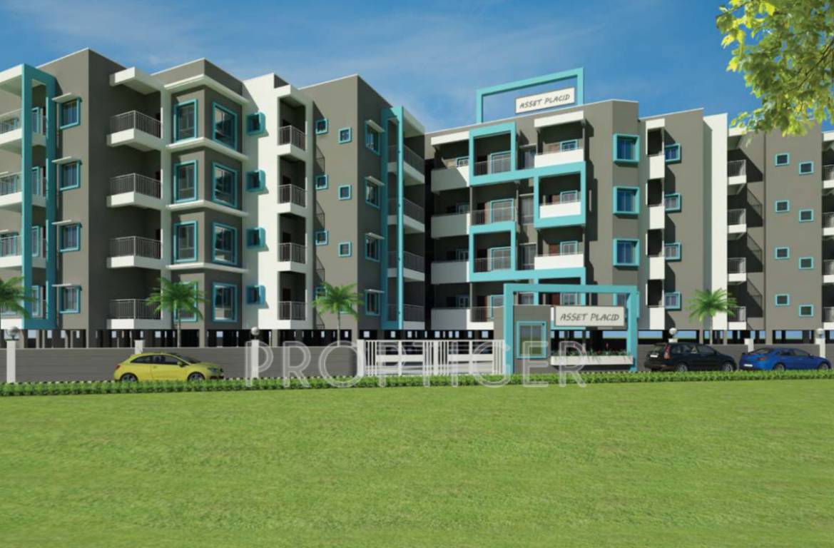 Images for Elevation of CoEvolve Placid