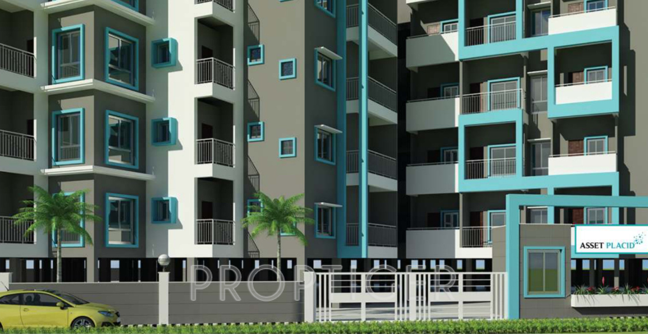 Images for Elevation of CoEvolve Placid