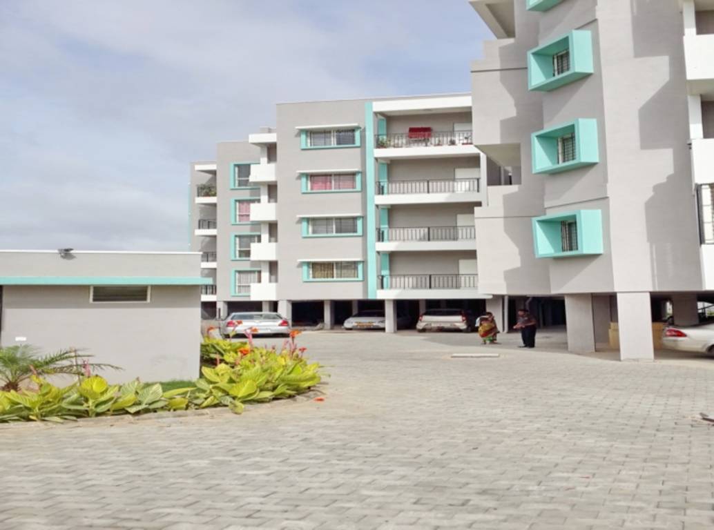 Images for Elevation of CoEvolve Placid