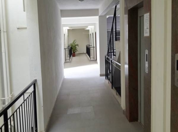 Images for Main Other of CoEvolve Placid