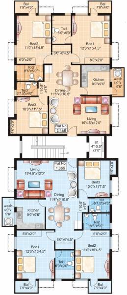 Images for Cluster Plan of Golden Crocus Images for Cluster Plan of Golden Crocus