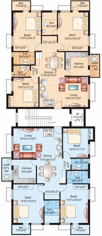 Images for Cluster Plan of Golden Crocus
