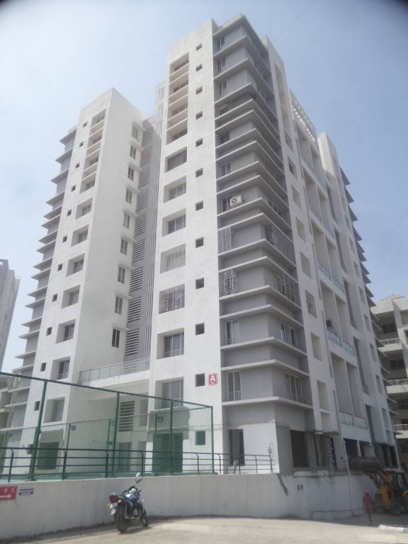 yin yang Images for Project