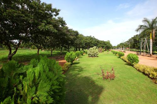 Images for Amenities of Eagleburg Golf Village