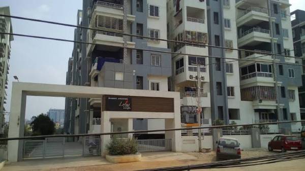  lotus-park Images for Project