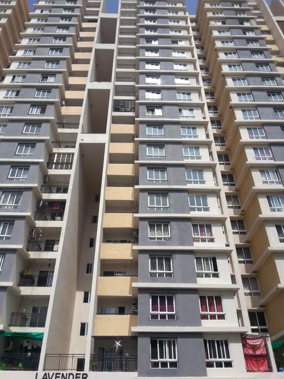  residency Images for Project