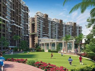 Project Image Project Image