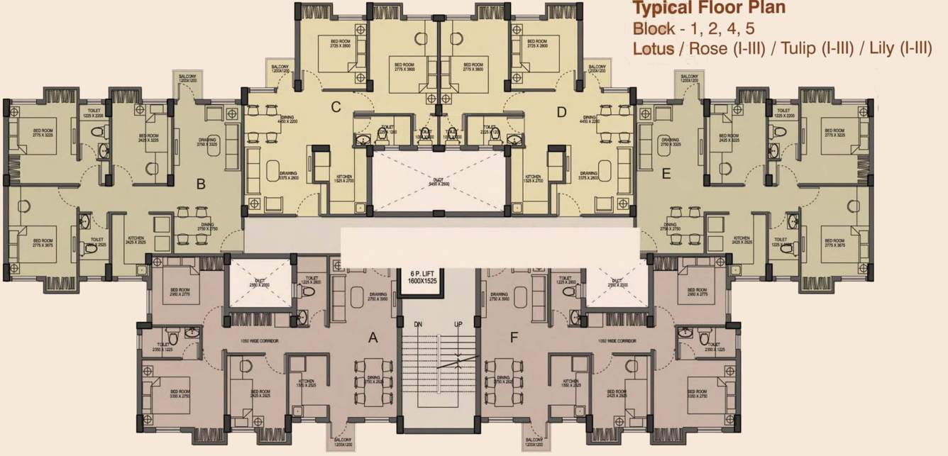 city Images for Cluster Plan of Magnolia City