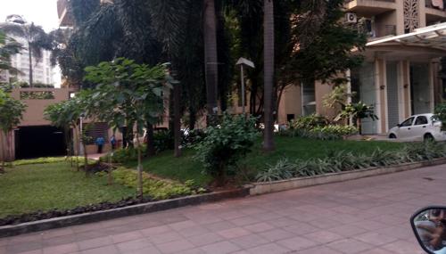  jonquille-and-jamaica Landscaped Gardens