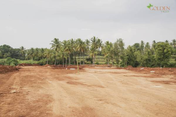 Images for Main Other of Golden Golden Valley