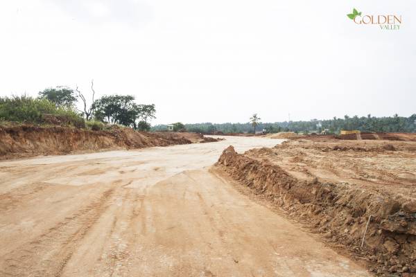 Images for Main Other of Golden Golden Valley