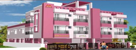 mm-builders lotus Elevation Elevation