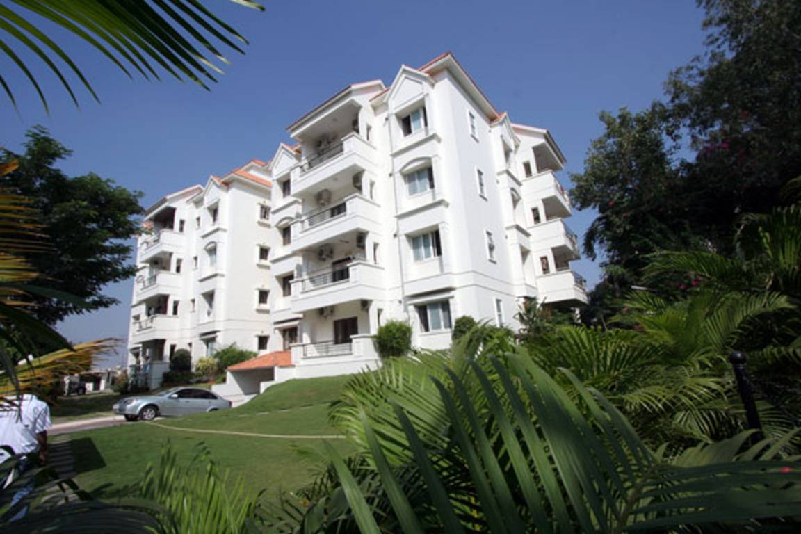 trendset vantage Elevation