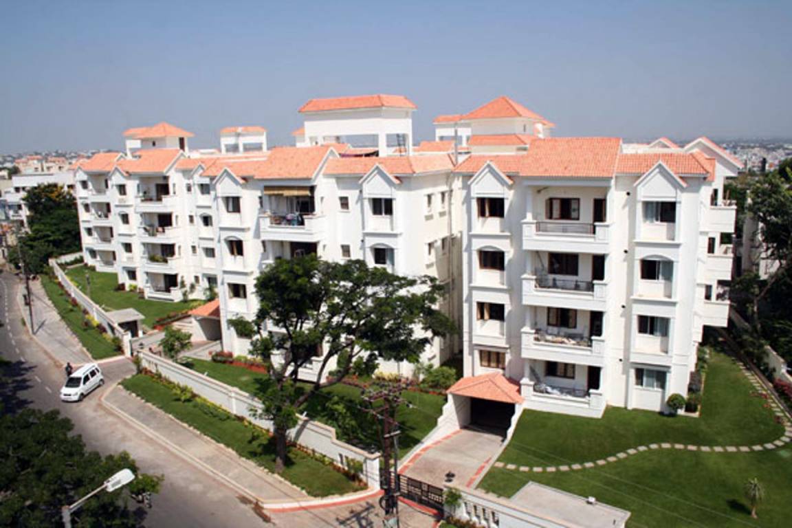 trendset vantage Elevation