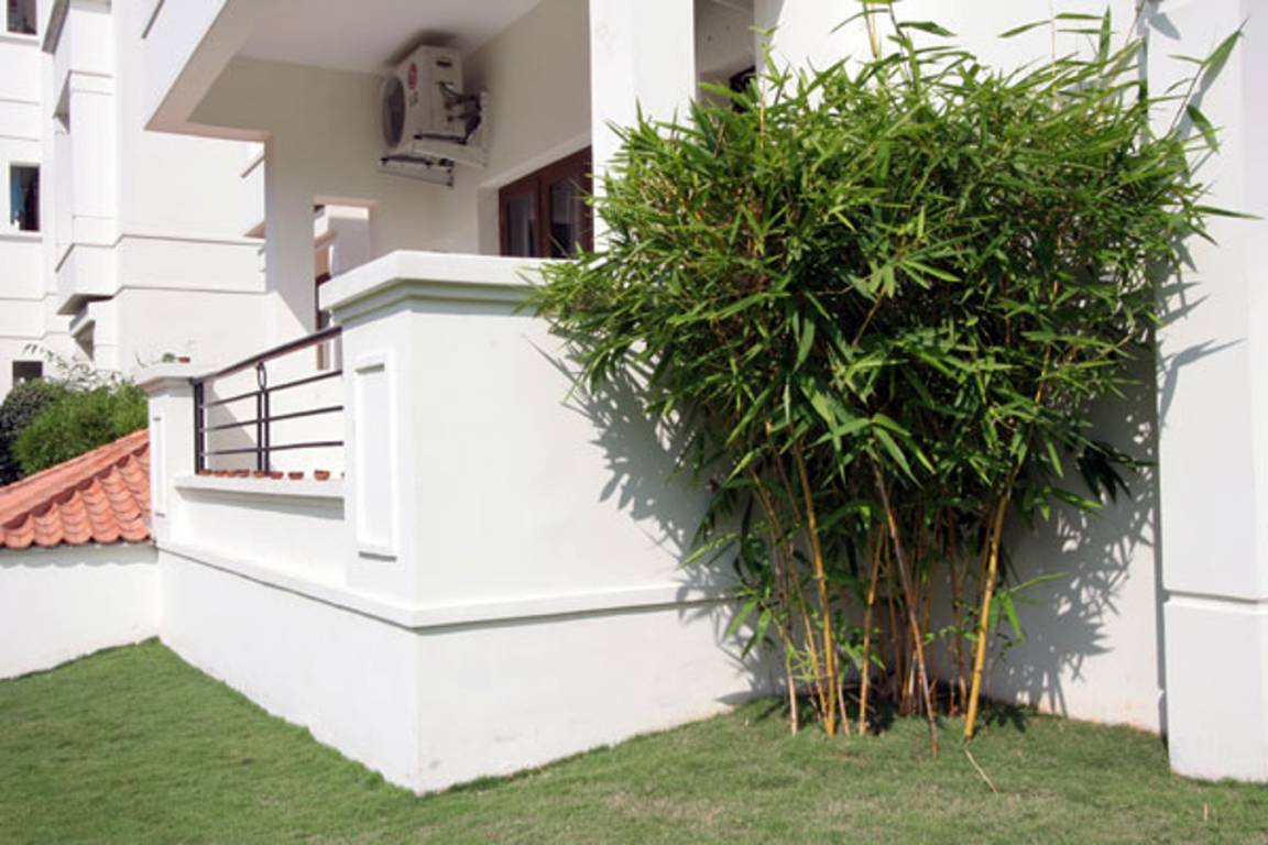 trendset vantage Elevation