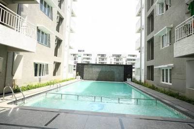  splendid Swimming Pool