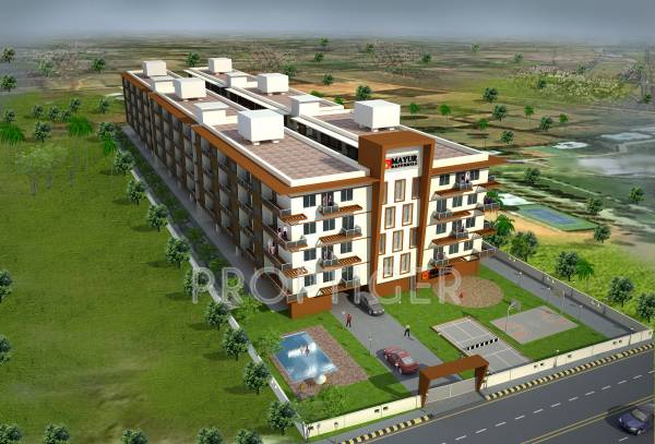  daffodils Images for Elevation of Mayur Daffodils