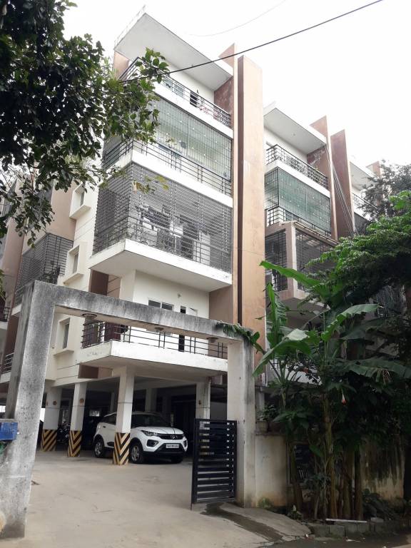  green woods Elevation