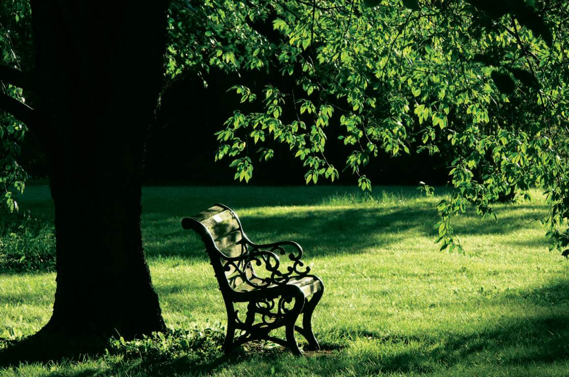  arcadia phase 2 Images for Amenities of Skylark Arcadia Phase 2