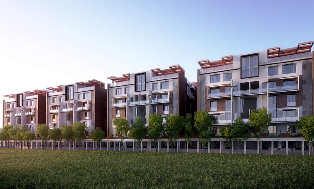  grandeur Images for Elevation of Orchid Grandeur