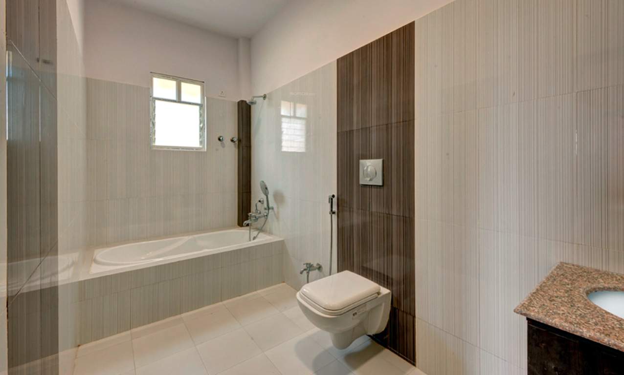  grandeur Images for Main Other of Orchid Grandeur