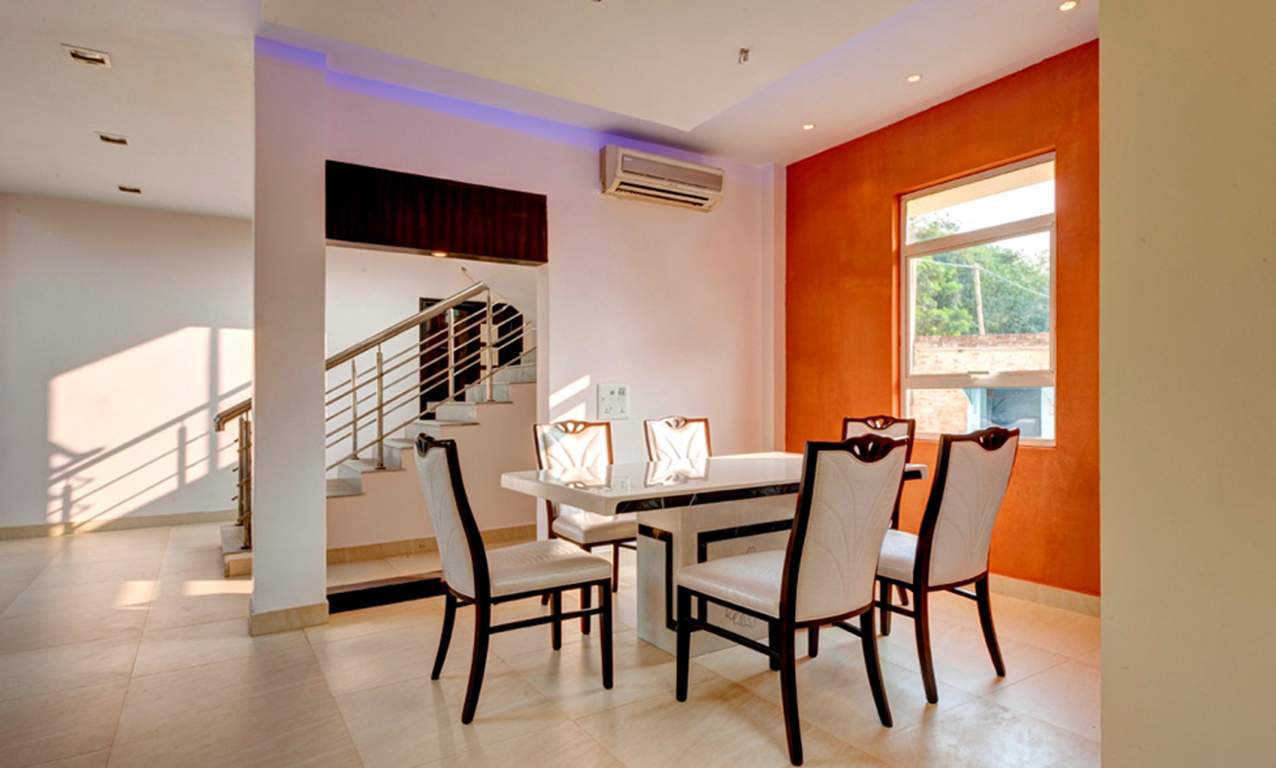  grandeur Images for Main Other of Orchid Grandeur