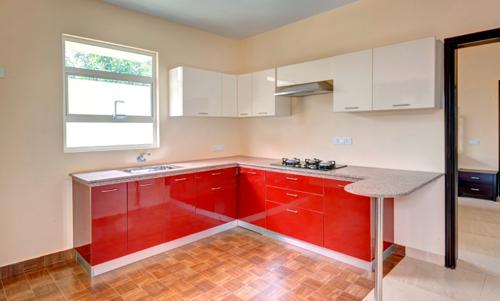  grandeur Images for Main Other of Orchid Grandeur