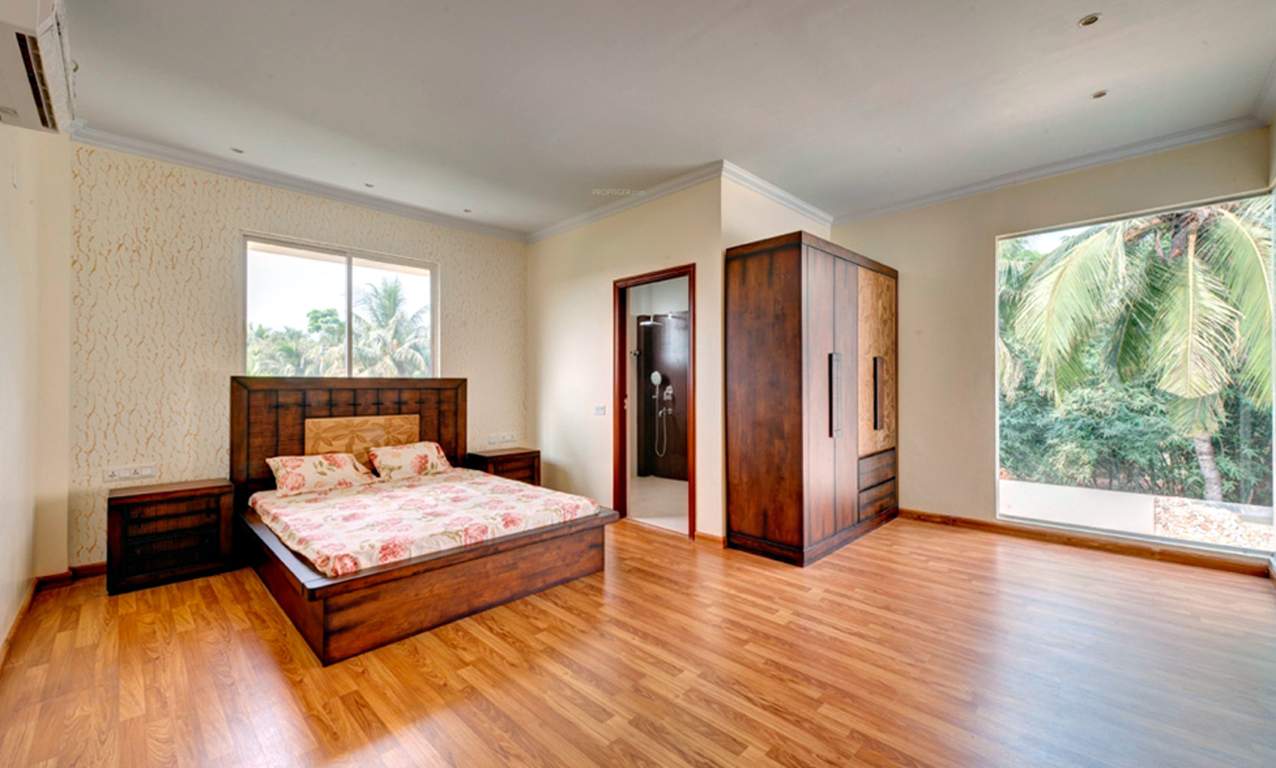  grandeur Images for Main Other of Orchid Grandeur