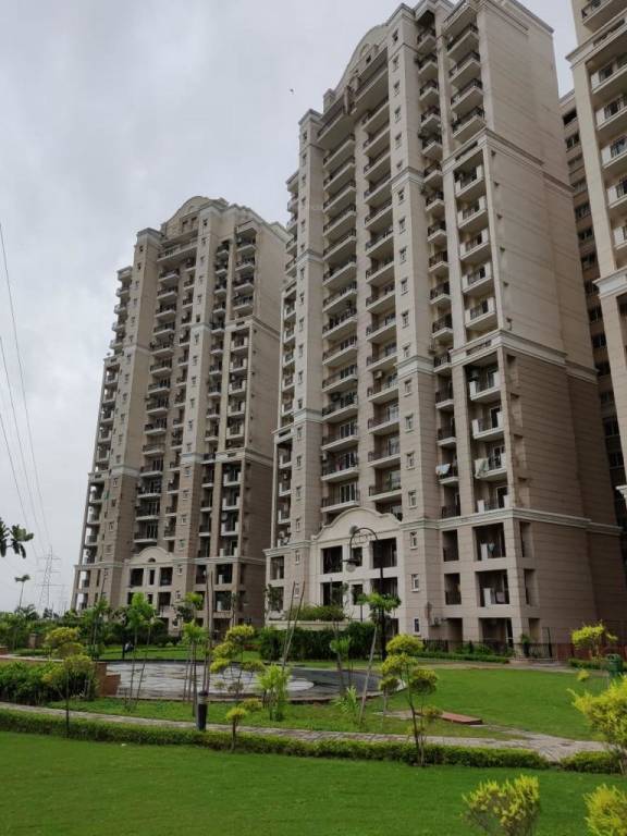 golf meadows lifestyle Elevation