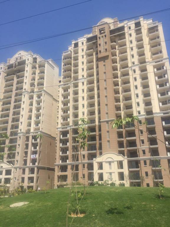 golf meadows lifestyle Elevation