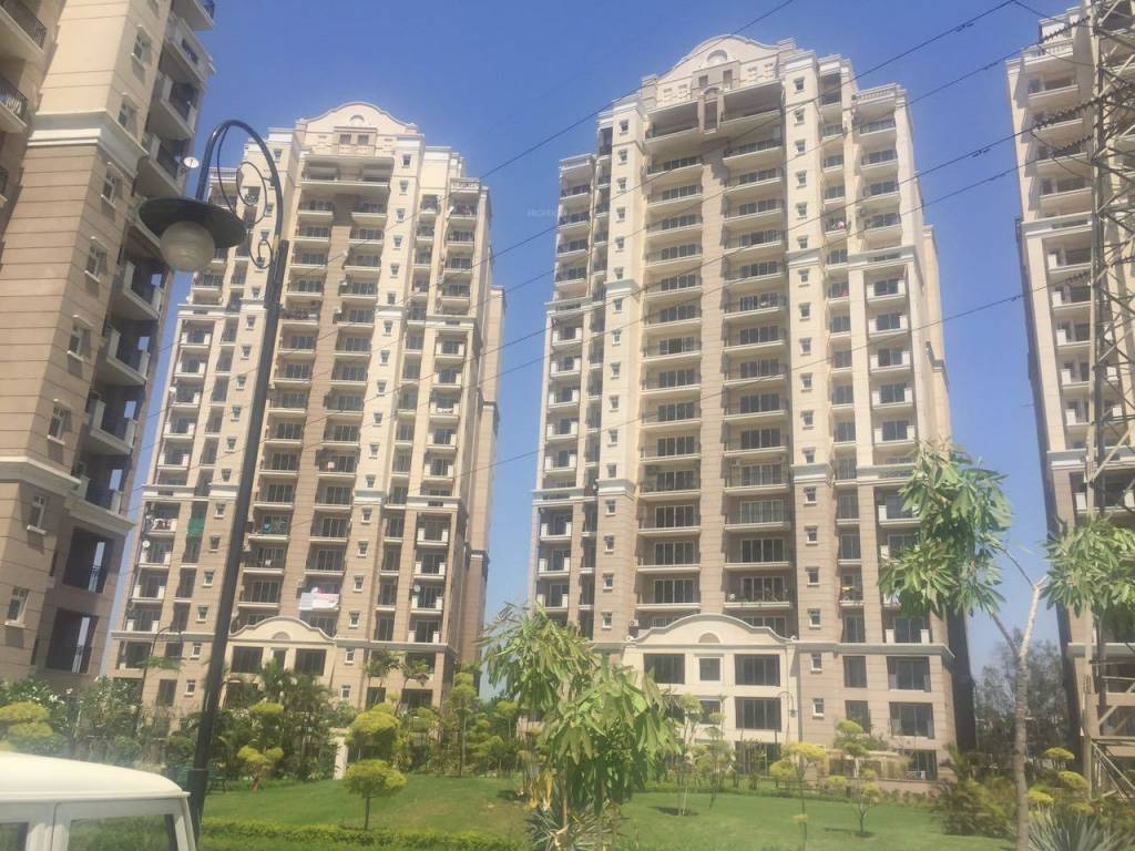 golf meadows lifestyle Elevation