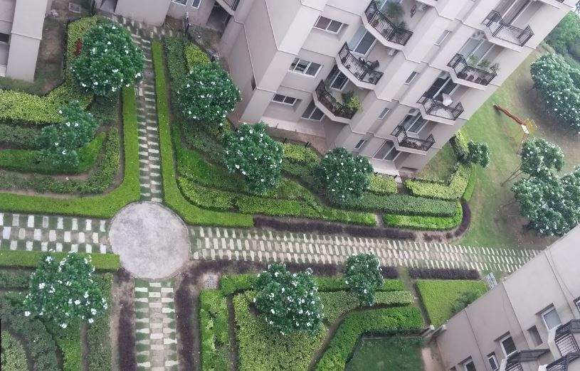 golf meadows lifestyle Landscape Garden and Tree Planting