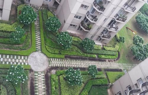 Landscape Garden and Tree Planting golf-meadows-lifestyle Landscape Garden and Tree Planting