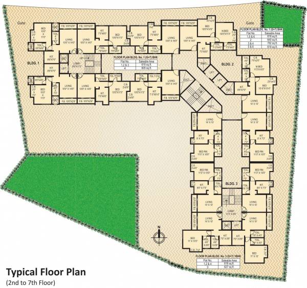  classique Images for Cluster Plan of Rosa Classique