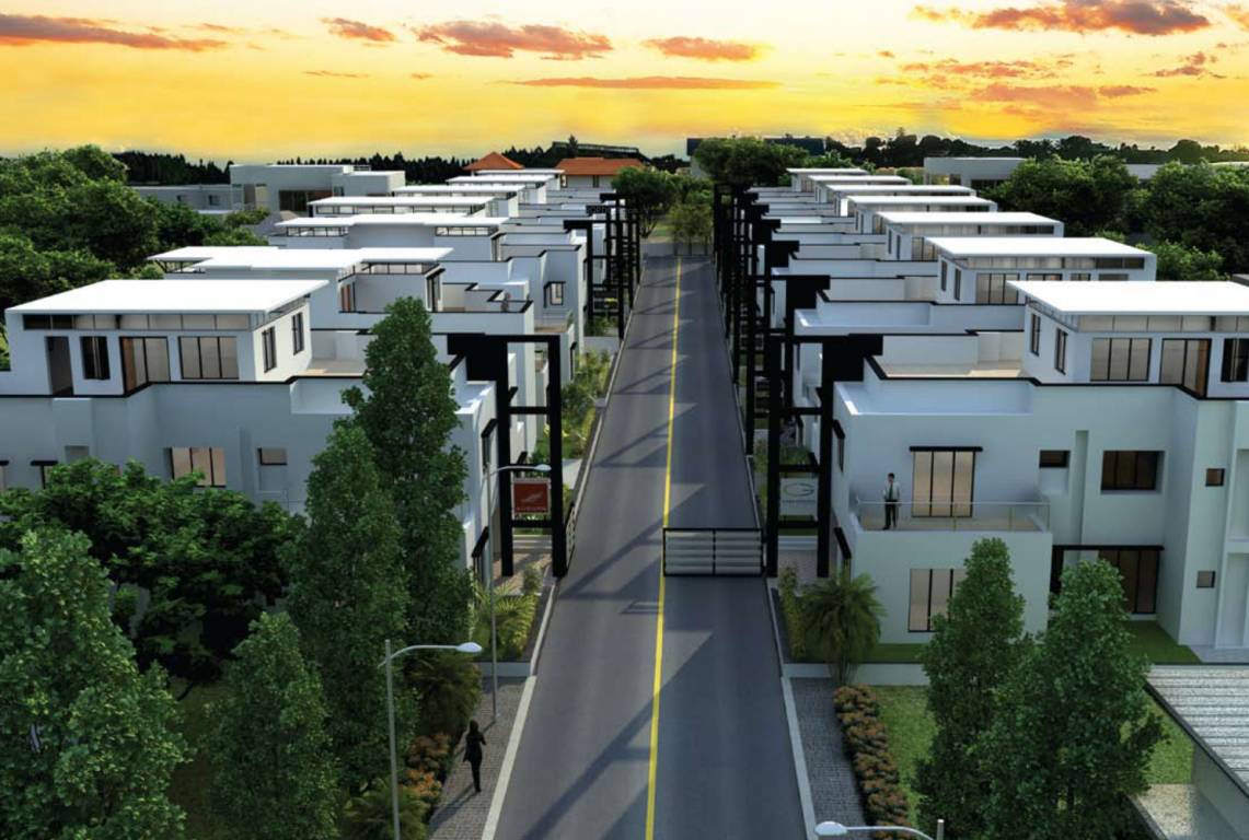 Images for Elevation of Casagrand Auburn