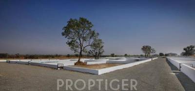 Images for Elevation of Right 5 Streaks