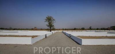 Images for Elevation of Right 5 Streaks