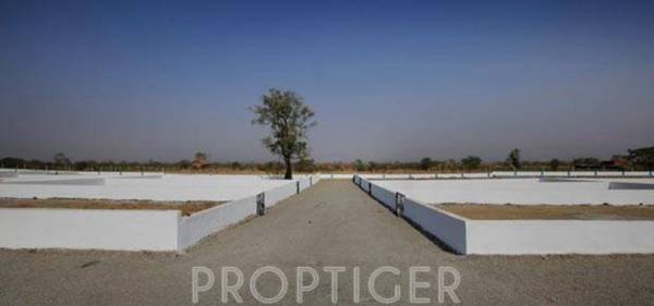 Images for Elevation of Right 5 Streaks Images for Elevation of Right 5 Streaks