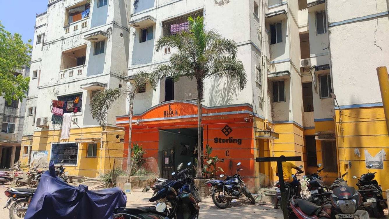 little flowers Elevation