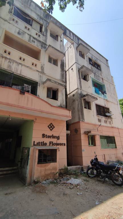 little flowers Elevation