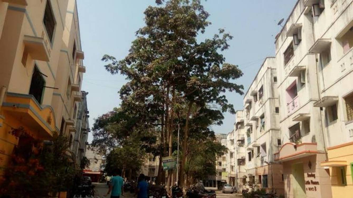 little flowers Images for Project