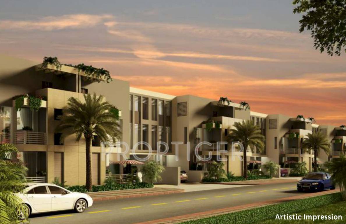 stellar constructions sigma Elevation