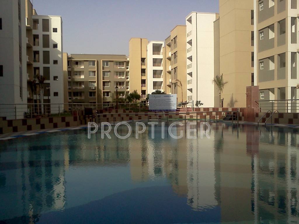 stellar constructions sigma Elevation