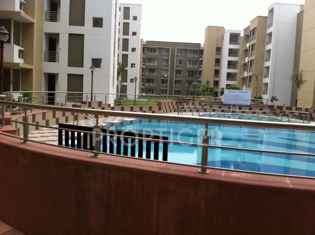 stellar constructions sigma Elevation