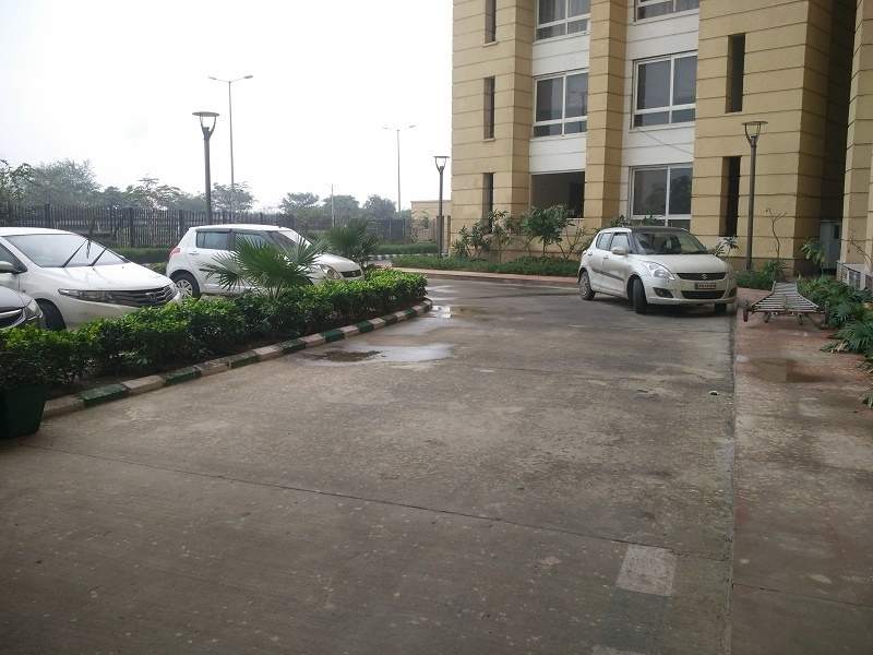 the kalypso court Open Parking