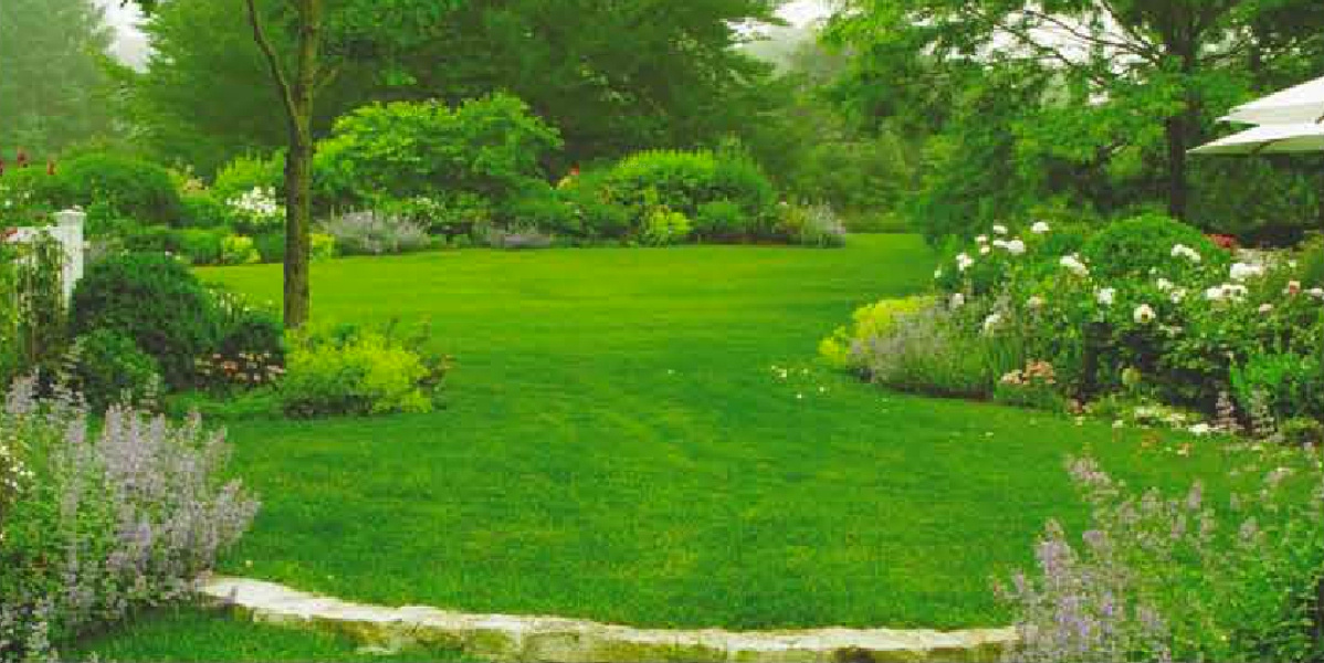 Images for Amenities of Charms Paradise