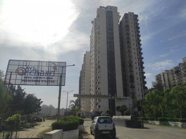 Elevation avs-orchard Elevation