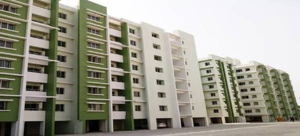  the-avenues Elevation