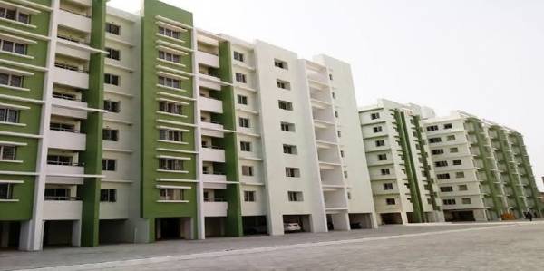  the-avenues Elevation