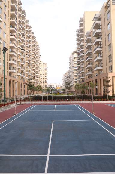  the views Badminton Court